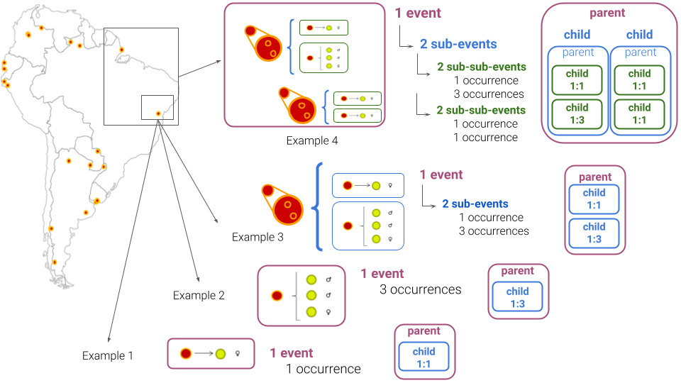 Illustration of four examples of nested dwc:Events